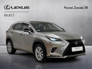 Lexus NX I SUV Facelifting 300h 197KM 2021 Lexus NX 300h F Impression AWD I (2014-2021) 300h, zdjęcie 3