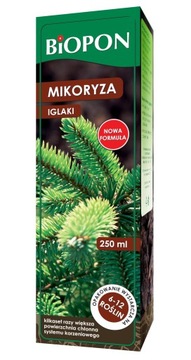 MIKORYZA - IGLAKI - TUJE, ŚWIERKI, SOSNY, JODŁY...