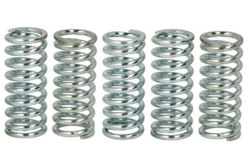 TRW MEF129-5 Zestaw sprężyn sprzęgła