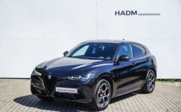 Alfa Romeo Stelvio SUV Facelifting 2023 2.0 GME Turbo 280KM 2024 Alfa Romeo Stelvio Alfa Romeo Stelvio Veloce Q4 2.0 280KM 2.0 Benzyna 280KM, zdjęcie 22