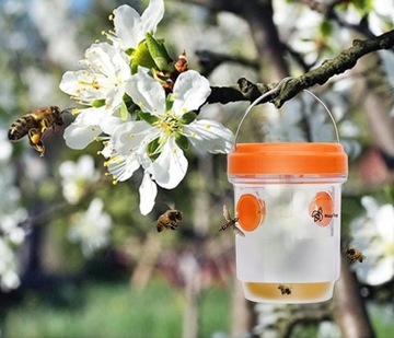 БОЛЬШАЯ ЛОВУШКА ДЛЯ НАСЕКОМЫХ ДЛЯ ОС, ШЕРШЕНЕЙ, ПОДВЕСНАЯ + СЛИВАЮЩАЯ ЖИДКОСТЬ