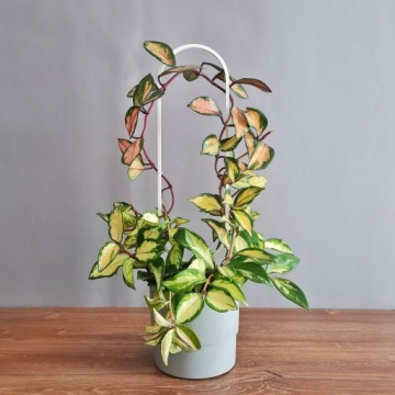 КАРПЕТ ДЛЯ ЦВЕТОВ ПЕРГОЛА ОВАЛЬНЫЙ БЕЛЫЙ 44 см