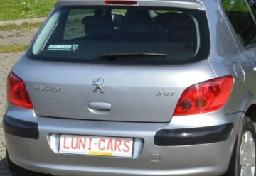 Peugeot 307 I Hatchback 1.6 16V 109KM 2003 PEUGEOT 307 1.6 16V 110 KM, zdjęcie 11
