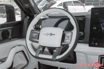 BYD 2025 BYD Leopard 8 2025 Intelligent and Brave Flagship Edition 6 Seaters Auto P, zdjęcie 12