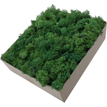 Обрезки мха Forest Green, Картон 600г.