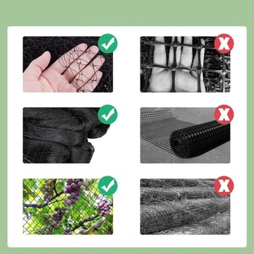 SIATKA NA PTAKI NA BORÓWKI DRZEWA KRZEWY 15x15m MOCNA Z 10*SZPILKI