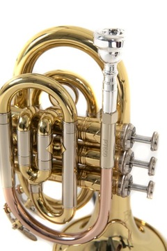 Карманная труба Bach Bb PT650