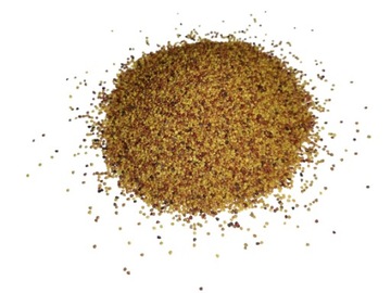 Mikrokoniczyna PIPOLINA koniczyna biała drobnolistna 1 kg