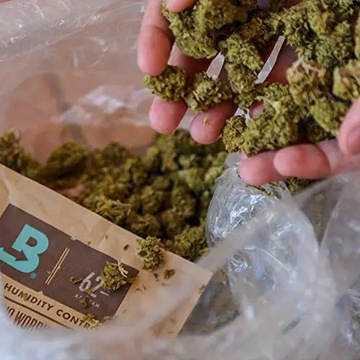 Kontrola wilgotności Boveda 62% 8g