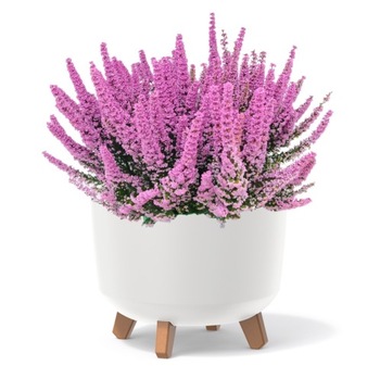 DONICZKA NA NÓŻKACH MISA DONICA BIAŁY 30cm