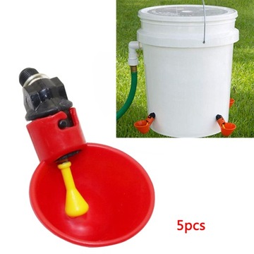 5 . для птиц голубь домашняя птица курица