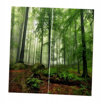 Zestaw 2 paneli Druk cyfrowy 3D Zasłony Las