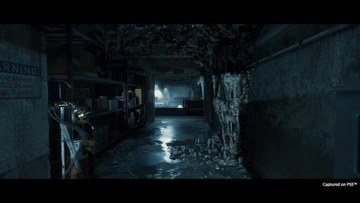 Режиссерская версия Death Stranding PL PS5