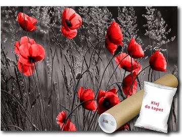 FOTOTAPETA WINYLOWA KWIATY MAKI ŁĄKA 104x70,5