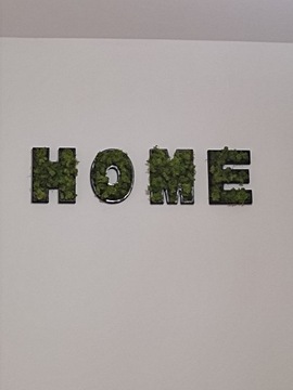 HOME надпись из мха moss MOSS