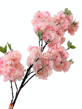 122 cm OGROMNA Jabłoń gałązka wiśnia xxl