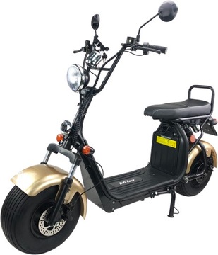 Крылья для электросамоката BILI COCO, ЗОЛОТЫЕ