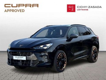 Cupra Terramar SUV 2.0 TSI 265KM 2024 Cupra Terramar Matrix Panorama Hak DCC FV23 Gwarancja 2029r 2.0