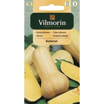 Dynia piżmowa Butternut Vilmorin nasiona 1g