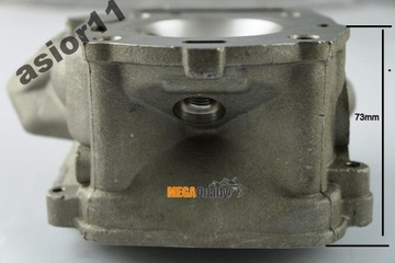 ГОЛОВКА ДВИГАТЕЛЯ В КОМПЛЕКТЕ 172 мм, 250 куб. См, CN250 CF250