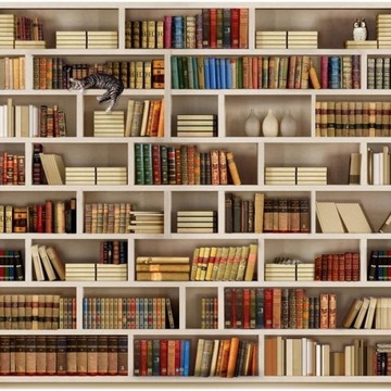 FOTOTAPETA 350x245 - Regał, Książki, Biblioteka