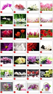 Ящик для ключей 24,5 см на 19,5 см Maki