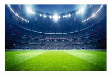 Fototapeta Stadion tapeta piłka nożna mecz 3d piłkarska na wymiar