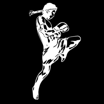 NAKLEJKA 3D NALEPKA NA SAMOCHÓD MMA MUAY THAI