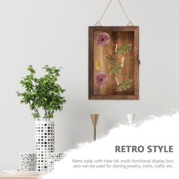 Витрина для старинных монет