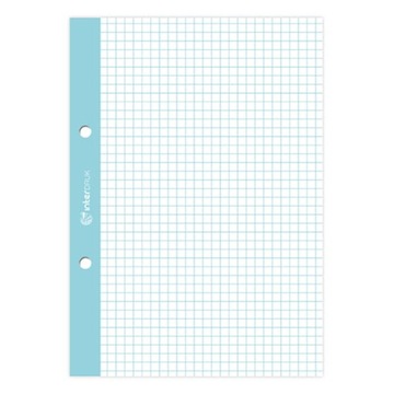 Вкладыш для скоросшивателя с цветной сеткой А5 50к х 10.