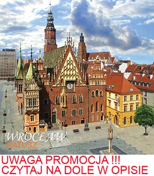 MAGNES NA LODÓWKĘ 3D WROCŁAW RATUSZ