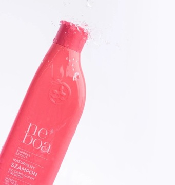 НЕБОА Шампунь с экспресс-эффектом 300мл