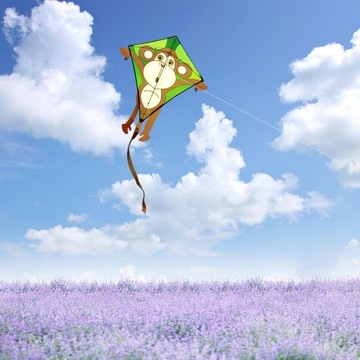 Яркие воздушные змеи Phoenix с одной леской