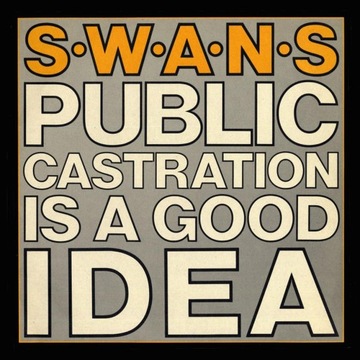 Swans 