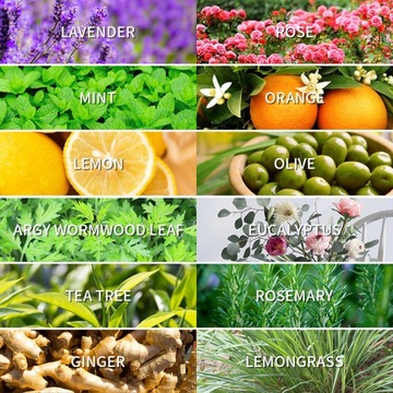 АРОМАТЫ ДЛЯ САУНЫ - 12 натуральных эфирных масел