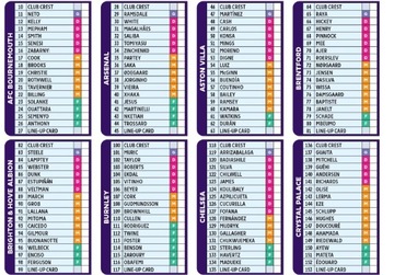 Сумка с карточками Премьер-Лиги 2024, микс, 1 шт.