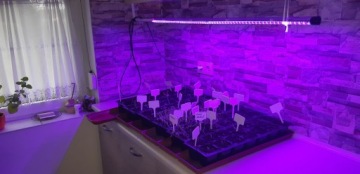 GROW LED лампа для выращивания растений 22Вт 120LED IP65 PL