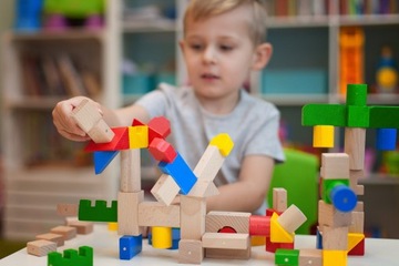 Деревянные магнитные блоки Kooglo Polskie 50 шт.