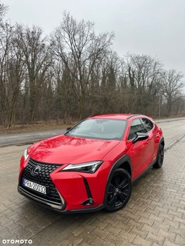 Lexus UX 2021 Lexus UX Raty Leasing Full opcja Salon Polska 4x4 automat Hybrid Gwarancja, zdjęcie 13