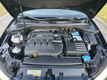 Audi A3 8V Sportback 5d Facelifting 2.0 TDI 150KM 2017 Audi A3 Sportback 2.0tdi 150KM S Tronic 2017r, zdjęcie 12