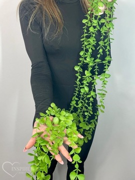 ЭВКАЛИПТОВАЯ ГИРЛЯНДИЯ С ЛИСТЬЯМИ ЭВКАЛИПТА ЗЕЛЕНЫЕ ПОДВЕСНЫЕ ИСКУССТВЕННЫЕ ЦВЕТЫ 110см