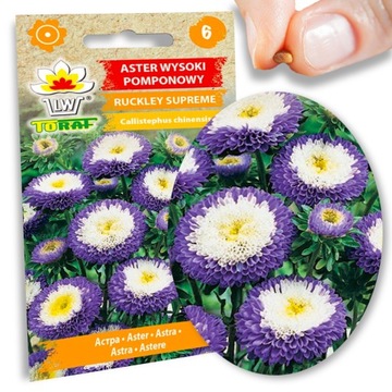 Nasiona astry Aster Ruckley Supreme na rabaty i kwiat cięty