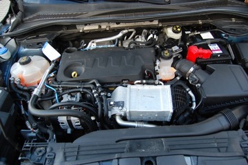 Ford Kuga III SUV 2.0 EcoBlue 190KM 2021 Kuga ST-Line X FULL FULL FULL TempAktywny Panorama Webasto KeylessGo 4x4, zdjęcie 25