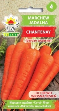 Marchew bardzo wczesna Chantenay 5g TORAF