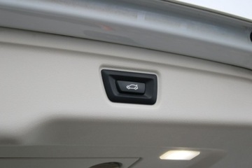 BMW Seria 3 G20-G21 Limuzyna 2.0 318i 156KM 2021 BMW 318 Automat F-Vat Salon Polska Gwarancja, zdjęcie 14