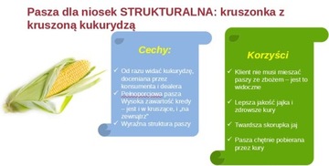 Корм Комбикорм для кур рассыпчатый с кукурузными провими