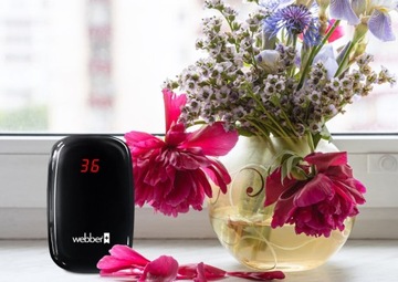 Czujnik jakości powietrza WEBBER SP75 Czarny