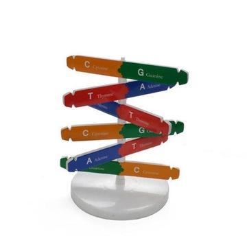 Двойные модели Science Insrumen