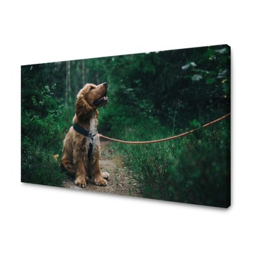 Foto obraz na płótnie KREATOR 60x40cm TWOJE ZDJECIA