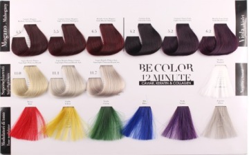 Краска Be Color БЕЗ АММИАКА 12 минут 9.8 100мл